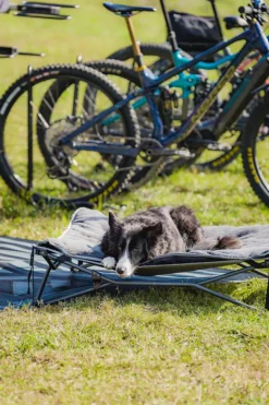 Dog Bed & Fleece Topper