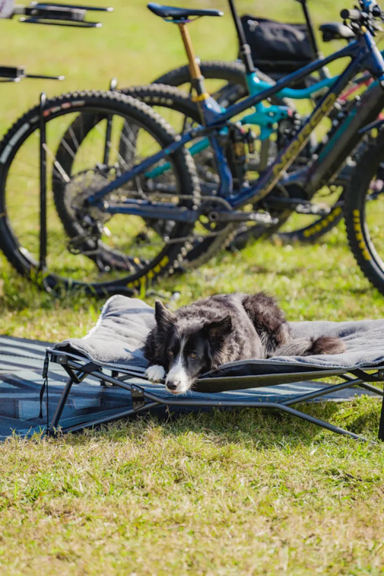 Dog Bed & Fleece Topper