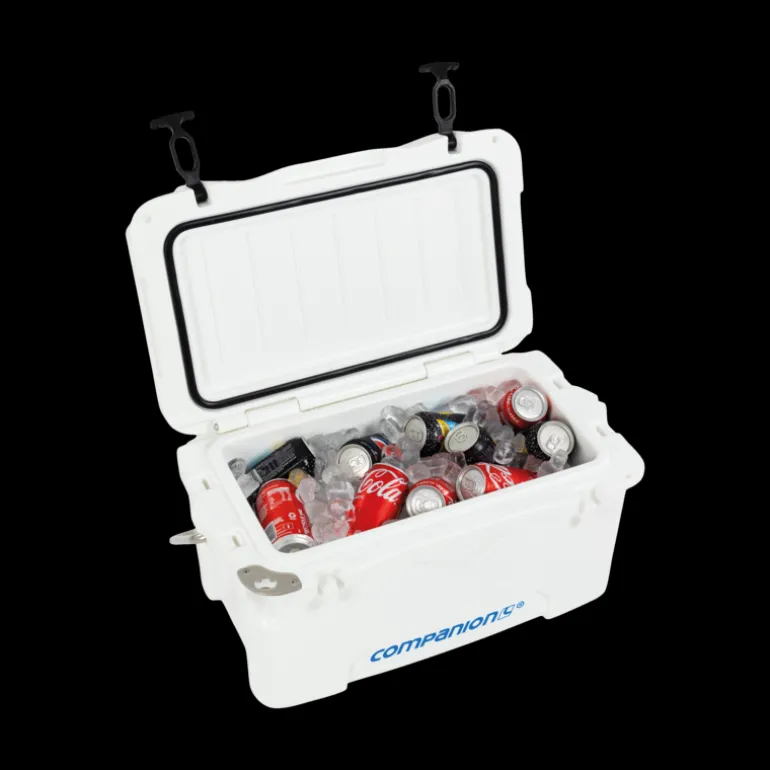 25L Ice Box With Bail Handle