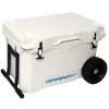 50L Wheeled Ice Box