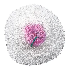 Mantle S2 - Single Tie