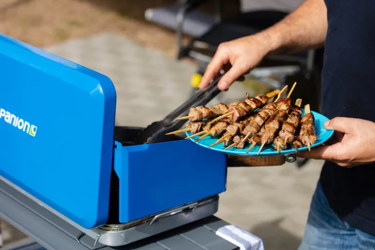 Melamine Dinner Plate - Blue