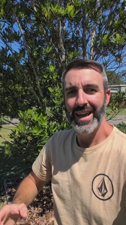 Rover 1300 Power Station